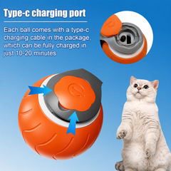 Speedy Tail Interactive Cat Ball