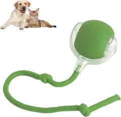 Interactive Rolling Pet Ball