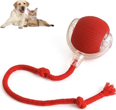 Interactive Rolling Pet Ball