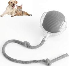 Interactive Rolling Pet Ball