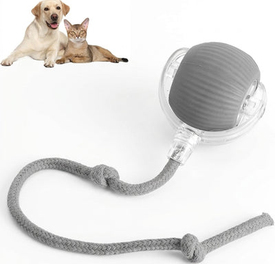 Interactive Rolling Pet Ball