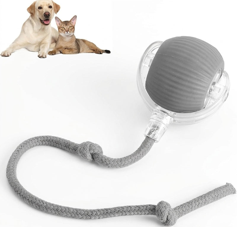 Interactive Rolling Pet Ball