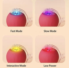 Interactive Rolling Pet Ball