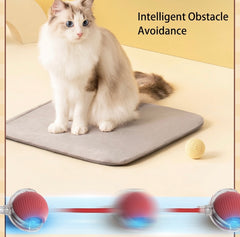 Interactive Rolling Pet Ball