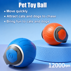 Speedy Tail Interactive Cat Ball